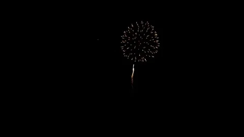 Blurred night lights of christmas tree and tower bokeh 動画素材 329673931