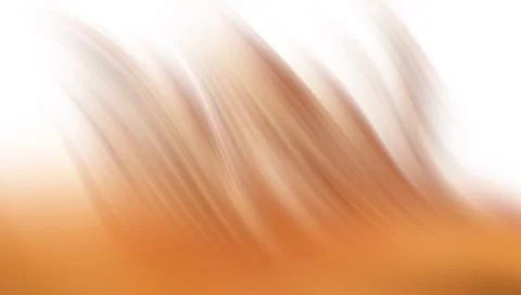 Blurred orange and white gradient abstract background Stockillustratie