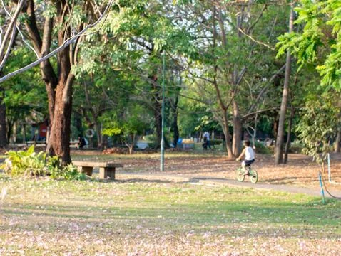 Blurred out of focus background image of child riding bicycle on park pathw.. Foto stock