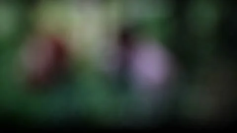 Blurred out of focus TV for background. Exclusive Stock Footage 232273057