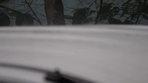 Blurred Outdoor Scene Stock-Footage 344818285