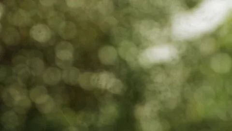 Blurred Outdoors And Rain Background Stock Footage 79068121