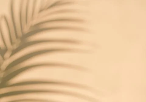 Blurred palm leaf shadow Stock Photos