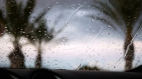 Blurred palmtrees through a windshield with rain drops on focus Video stock 164609306