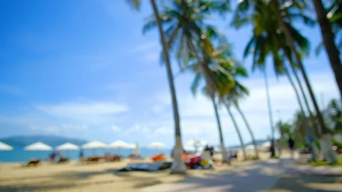 Blurred panoramic view beach, chairs, umbrellas Stock Footage 101362674