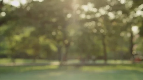 Blurred park background with flare light Stock Footage 103795304