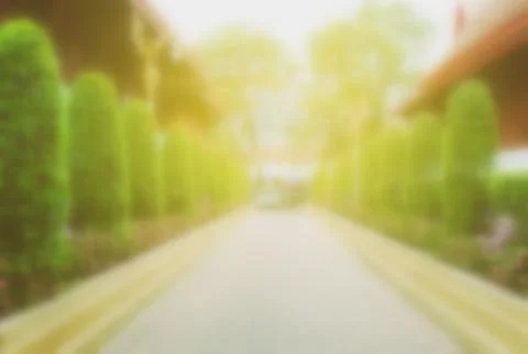 Blurred Pathway in Garden Background. Stock Photos