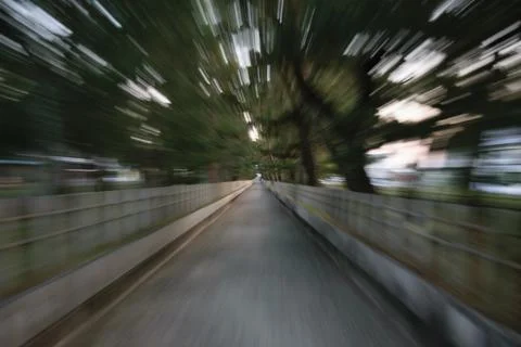 Blurred Pathway with Trees Foto stock