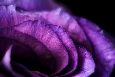 Blurred pattern for designer. Stock Photos