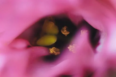 Blurred pattern for designer. Foto stock