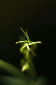 Blurred pattern for designer.. Stock Photos