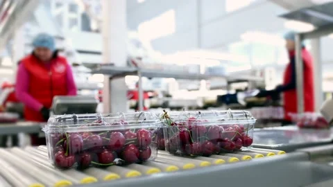 Blurred people in red uniform work on fruit processing plant 스톡 동영상 157094064
