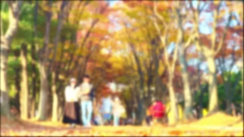 Blurred, People taking a walk in a falling leaf park Stock Footage 291534053