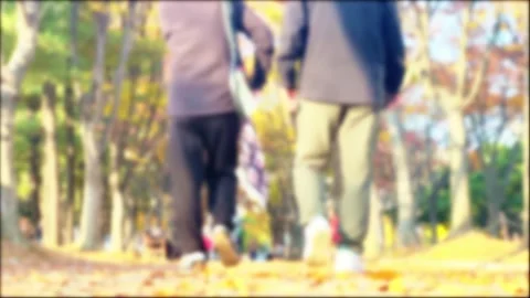 Blurred, People taking a walk in a falling leaf park Stock Footage 291534079