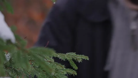 Blurred person walking in forest Stock Footage 327621045
