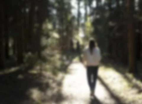 Blurred person walking on a forest path. Soft sunlight filters through tall Stock Photos
