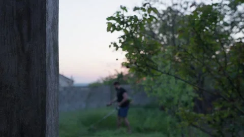Blurred Person Walking Through Garden at Sunset With Foreground Focus Stock Footage 341766925