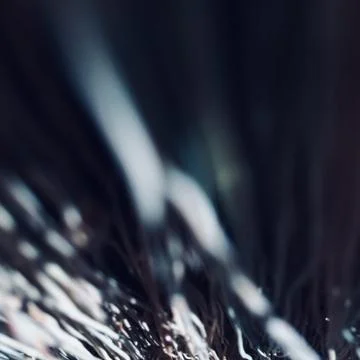 Blurred Stock Photos