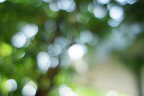 Blurred photo on bright natural background Stock Photos