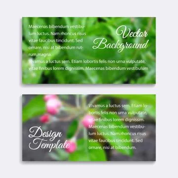 Blurred photos vector backgrounds with spring tree blossom and fresh grass Stock Illustration