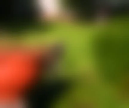 Blurred picture texture Stock Illustration