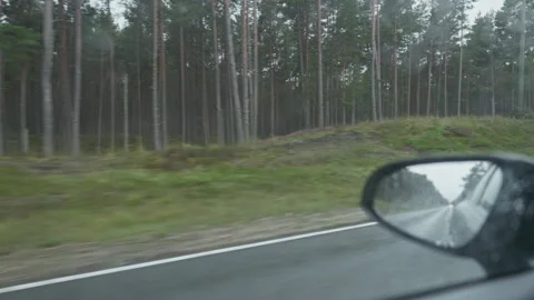 Blurred pine forest beside highway seen from moving car with side mirror and wet Stock Footage 344769304