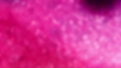Blurred pink background with shine and sparkles. Stock Footage 253754095