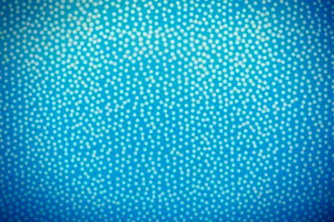 Blurred polka dot background Stock Photos