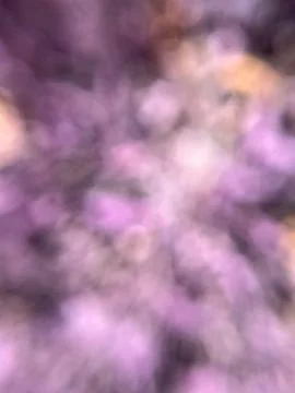 Blurred purple background (1) Stock Photos