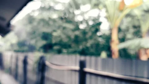 Blurred rain Video stock 336695151
