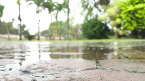 Blurred rain on ground Stock Footage 320445000