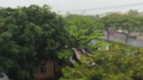 Blurred Rainy Tropical Cityscape View with Trees and Road in the background 스톡 동영상 344019923