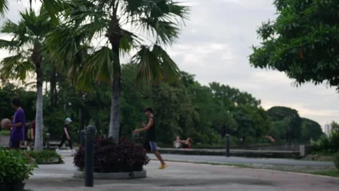 Blurred Runner Exercising in Public Park. Stock-Footage 315159954