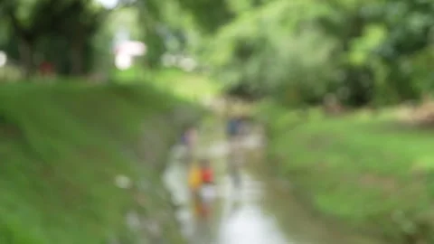 Blurred Scene of Children Playing by a River Stock Footage 293650234