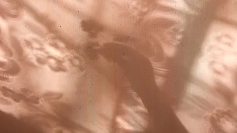 Blurred shadow of female hand holding twig with leaves Stock Footage 166394259