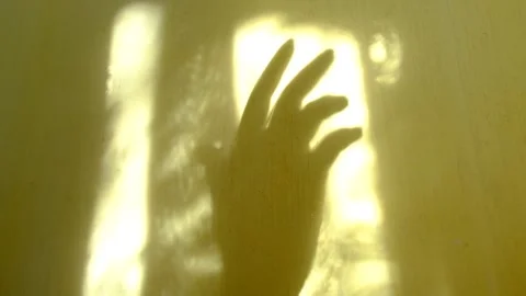 Blurred shadow of female hand on yellow wall background Stock Footage 288799671