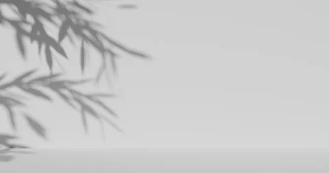 Blurred shadow of foliage on a light wall. Illustrazione stock