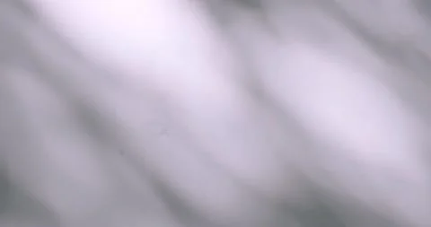 A blurred shadow from the foliage on the wall Stock Footage 226992311