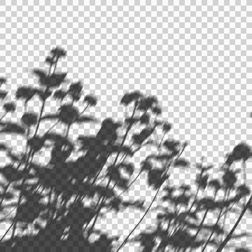 Blurred shadow overlay of blooming meadow flowers for aesthetic mockup pres.. Stock Illustration