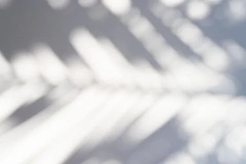 Blurred shadow of a palm leaf on a white background.. Stock Photos
