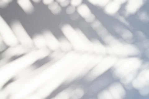 Blurred shadow of a palm leaf on a white background.. Stock-Fotos