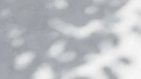 A blurred shadow from a plant on a gray wall, the sun's rays shine Stock Footage 160116636