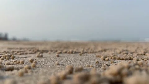 Blurred shirtless man running on beach on sunny day. Landscape nature blue sky Stock Footage 206736629