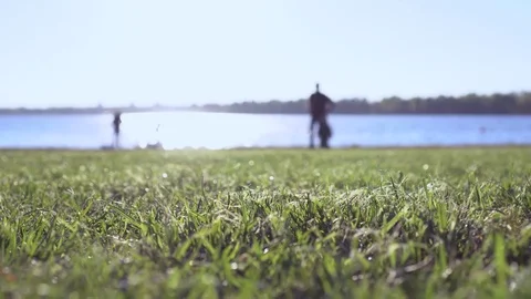 Blurred shot - father and son go together at sunset near at the lake. Green Stock Footage 78481516