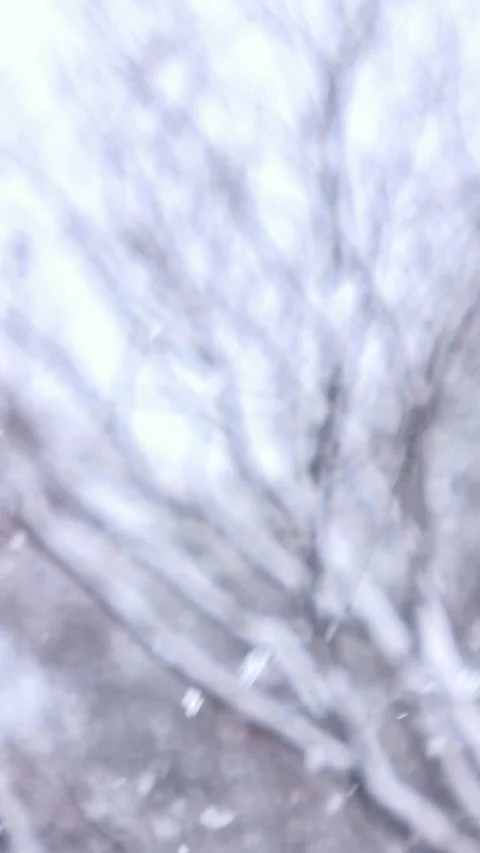 Blurred shot of snowing background, winter scenery with snowfall. 4K Stock Footage 348046756