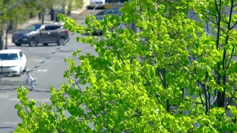 A blurred shot of traffic at a stoplight intersection Stock Footage 169678201