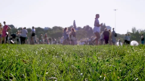 Blurred silhouettes of people. view from under green grass. Holi Festival. crowd Stock Footage 159863319
