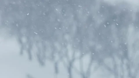 Blurred snowfall on winter trees background Stock Footage 148372875