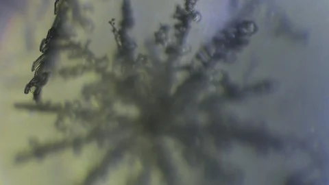 Blurred snowflake becomes clear under the microscope Stock Footage 86788634