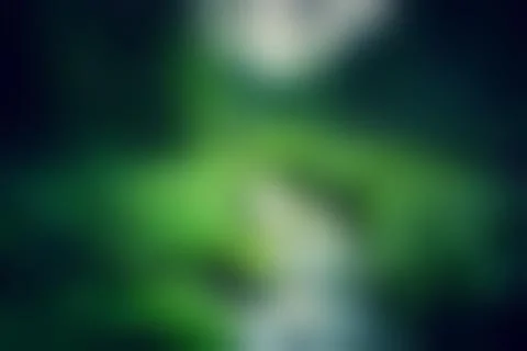 Blurred soft bokeh abstract background Stock Photos